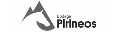 Mr. Think | logotipo Bodega Pirineos