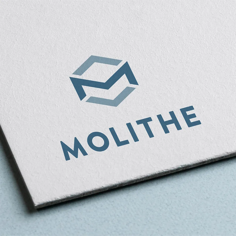 Mr. Think | Branding | Molithe
