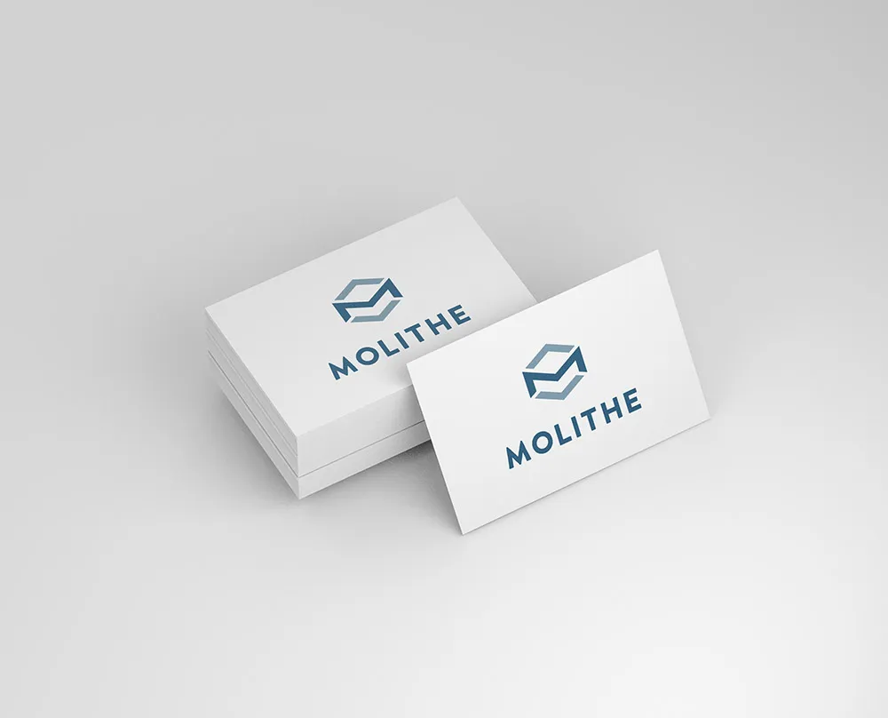 Mr. Think | Branding | Molithe